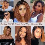 Bob Wig Human Hair 13x4 HD Lace Front Wigs Glueless Human Hair for Women 1B/Dark Ginger Short Bob Human Hair Wigs Pre Plucked Glueless Wigs Straight Bob Lace Front Wigs (16 Inch, 160% Density)