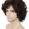 Anime Mastery Unleashed: Men's Short Curly Brown Wig